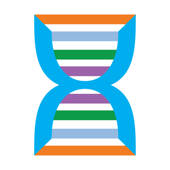 Phylo DNA Puzzle