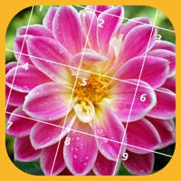 Jigsaw Puzzle – Flower
