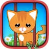 Kitten Escape Game