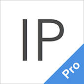 IP助手 Pro