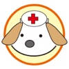 Dog Examine