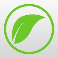 New Life Jax New Life Jax