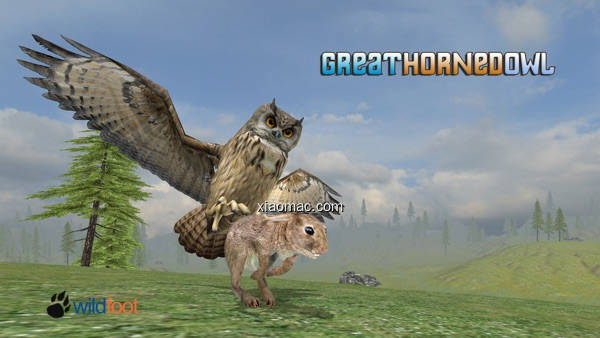 【图】Horned Owl Simulator(截图1)