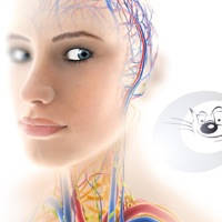 CAT MEDIC – Illustrated Medicine