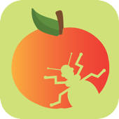 Fruit Pest Finder Fruit Pest Finder