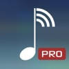 MyAudioStream HD Pro的UPnP的音频播放器和流光为iPad