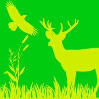 Mes relevés Mes relevés