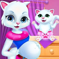 New Baby Kitten Cat Care