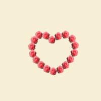 魔法玫瑰-让屏幕上开满玫瑰 魔法玫瑰-让屏幕上开满玫瑰