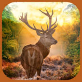 3D Ultimate Deer Hunter –