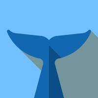 Flipper – Mirror Image Editor