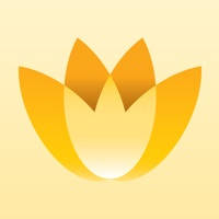 Magic Flowers – Visual Healing