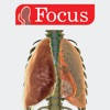 LUNGS – Digital Anatomy