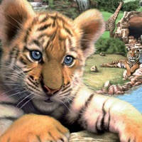 Wildlife Park Mobile