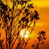 Sunset Wallpapers Sunset Wallpapers