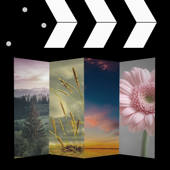 Image to Video Image to Video