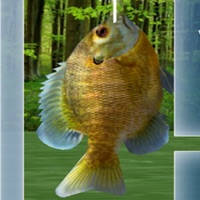 Wild Fishing King 3D Simulator: Flick Fish Frenzy Wild Fishing King 3D Simulator: Flick Fish Frenzy