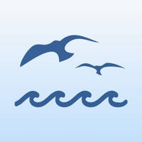 Beach Municipal FCU Mobile