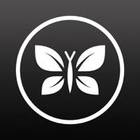 The Honest Company The Honest Company